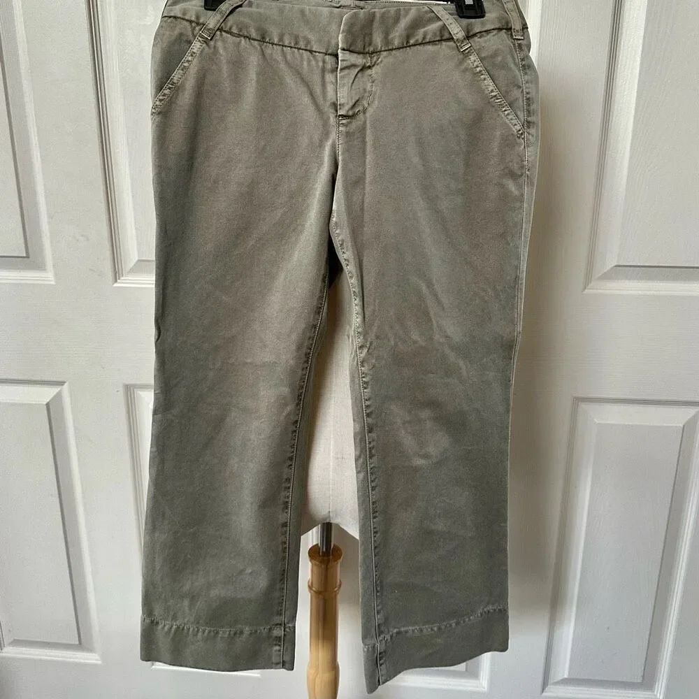 Joie coupe cut olive green chino pants